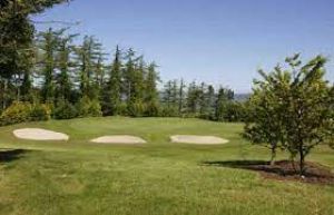 Golf @ The Carraig Hotel, Carrick-on-Suir